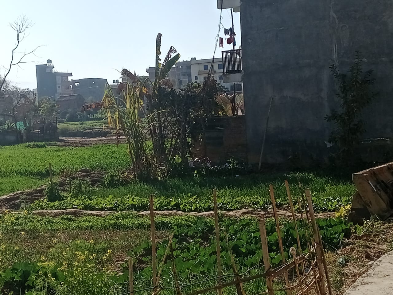 Picture of Mahalaxmi Municipality, Bagmati